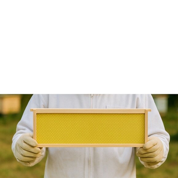 Beekeeping Equipment 5 Medium Frames + 5 Wax Foundation ASSEMBLED For Super Boxe - Picture 2 of 8